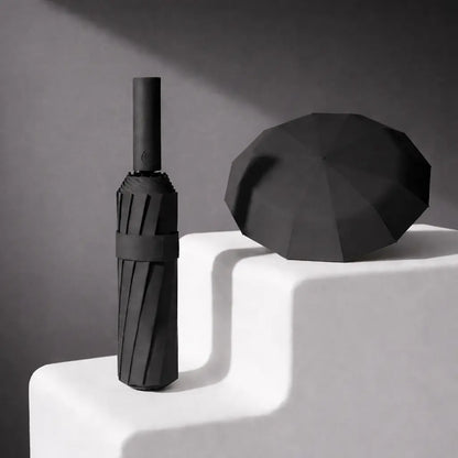 Clenzio Automatic umbrella