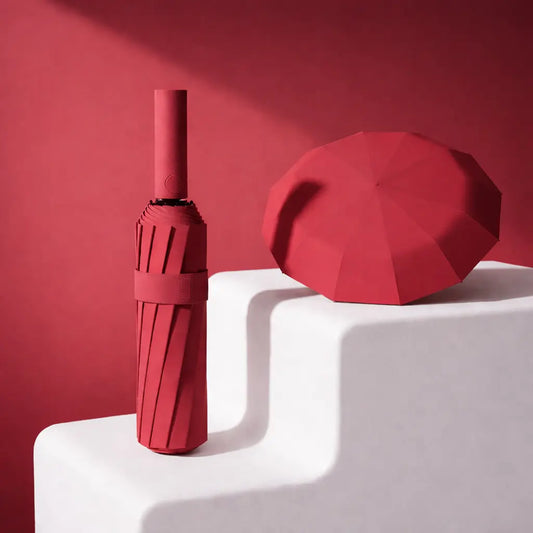 Clenzio Automatic umbrella